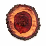 RED CHANDAN PLANT - Image 2
