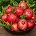 Anar Fruit Plant - Image 2